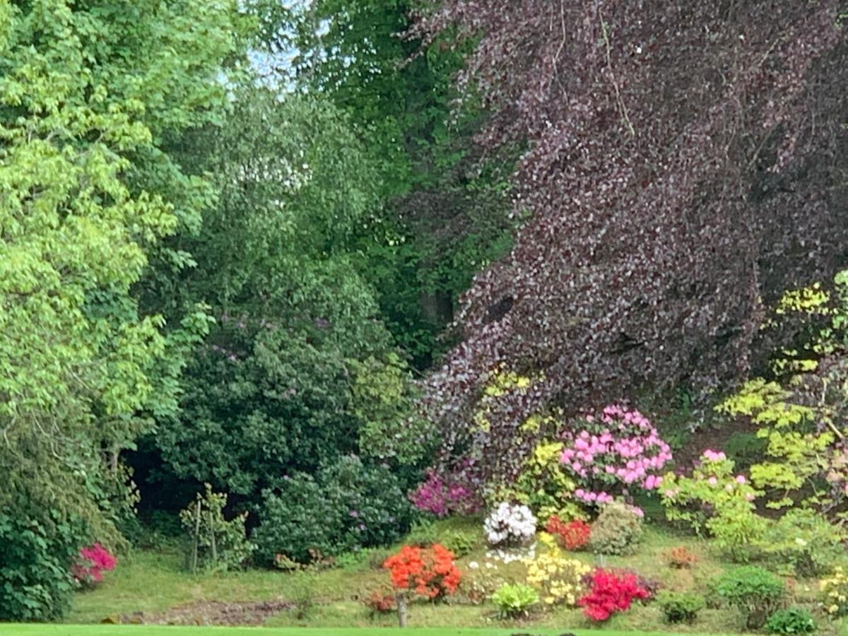 Bed and Breakfast West Plean House Stirling Exteriér fotografie