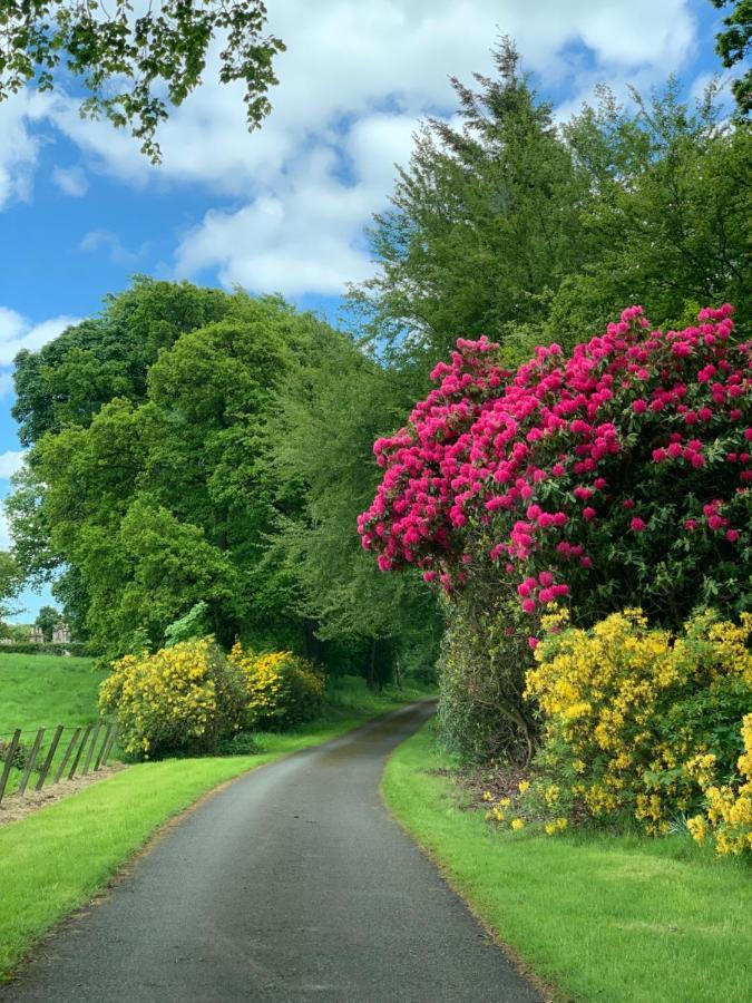 Bed and Breakfast West Plean House Stirling Exteriér fotografie