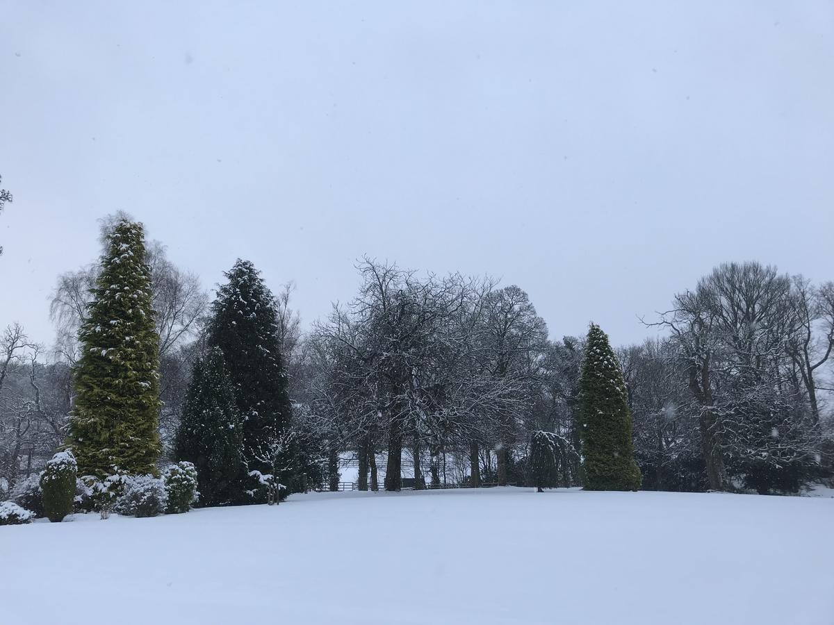 Bed and Breakfast West Plean House Stirling Exteriér fotografie