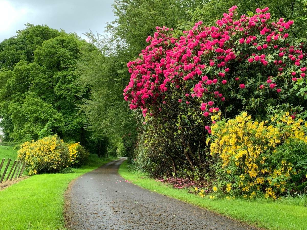 Bed and Breakfast West Plean House Stirling Exteriér fotografie