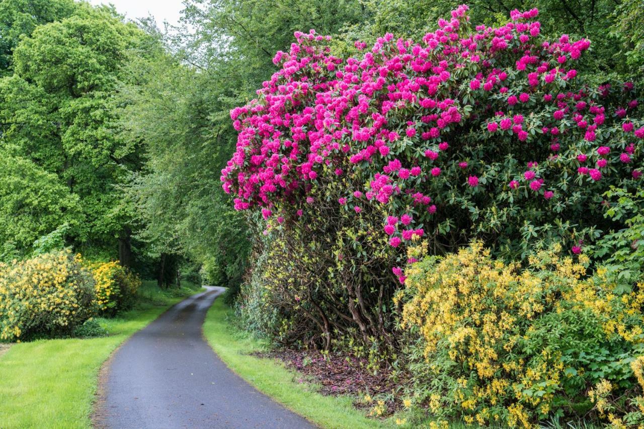 Bed and Breakfast West Plean House Stirling Exteriér fotografie