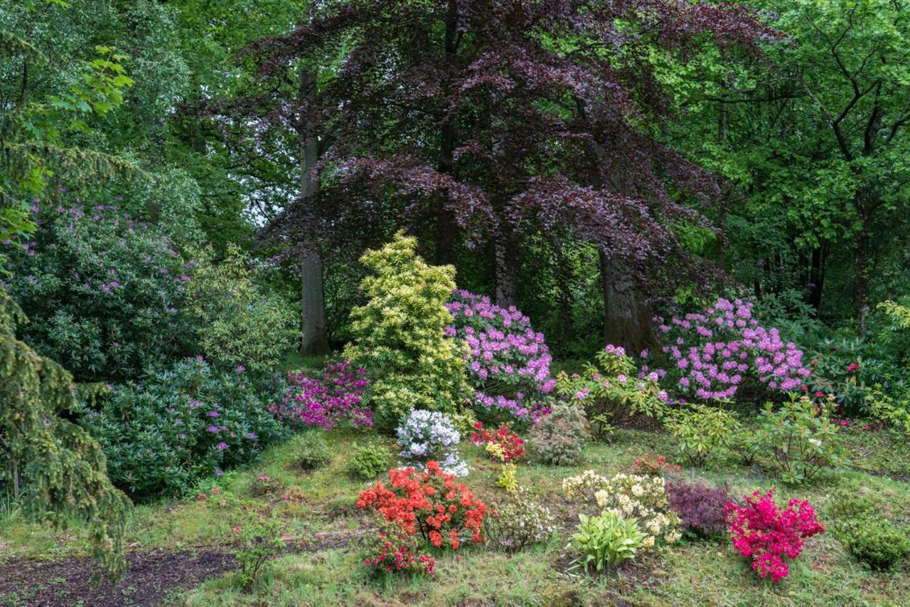 Bed and Breakfast West Plean House Stirling Exteriér fotografie