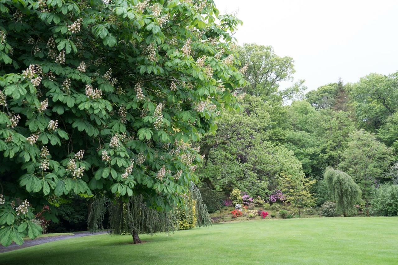 Bed and Breakfast West Plean House Stirling Exteriér fotografie